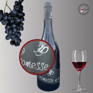 AOC VENTOUX – Promesse 2022