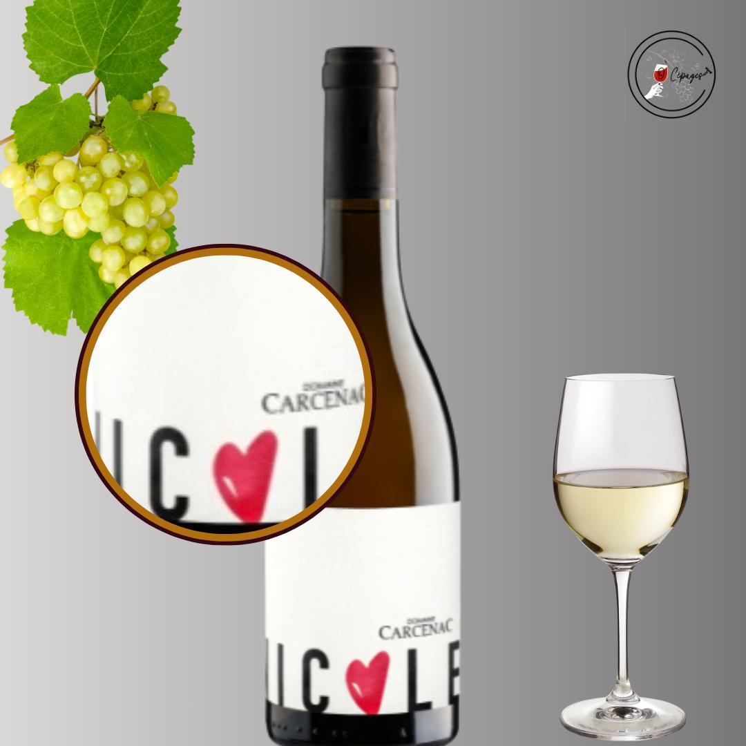 Sommelier à domicile, vente de vin, atelier dégustation œnologique