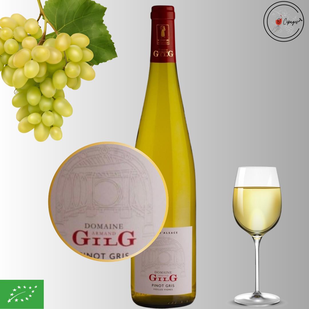 Dégustation vins sommelière a domicile vente de vins Poitiers