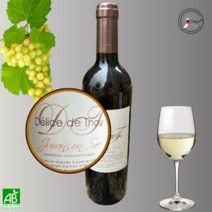 Dégustation vins sommelière a domicile vente de vins Poitiers