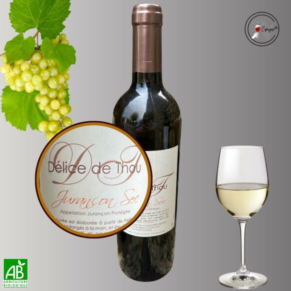 Dégustation vins sommelière a domicile vente de vins Poitiers