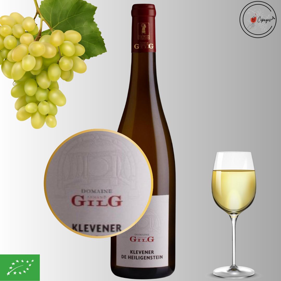 Dégustation vins sommelière a domicile vente de vins Poitiers Dégustation vins sommelière a domicile vente de vins Poitiers