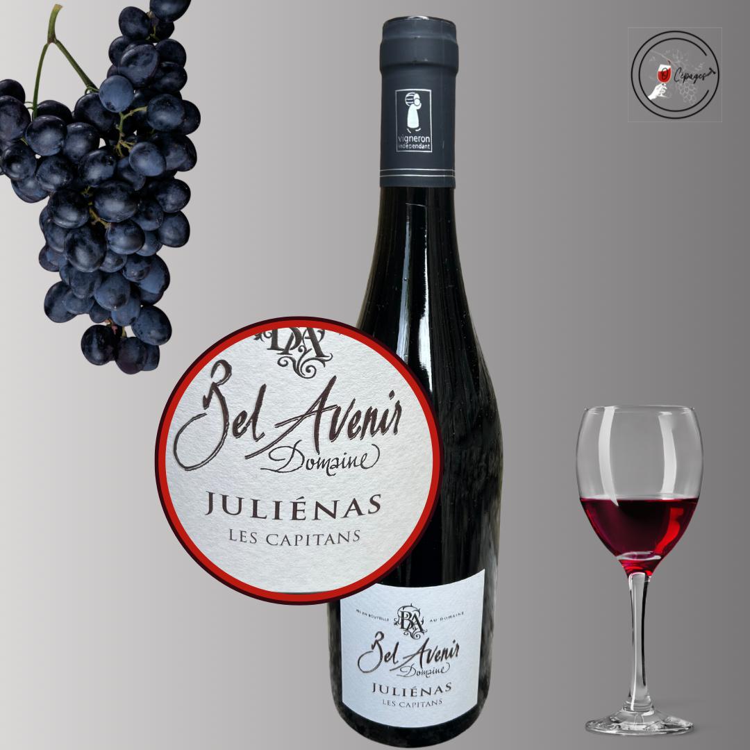 Dégustation vins sommelière a domicile vente de vins Poitiers