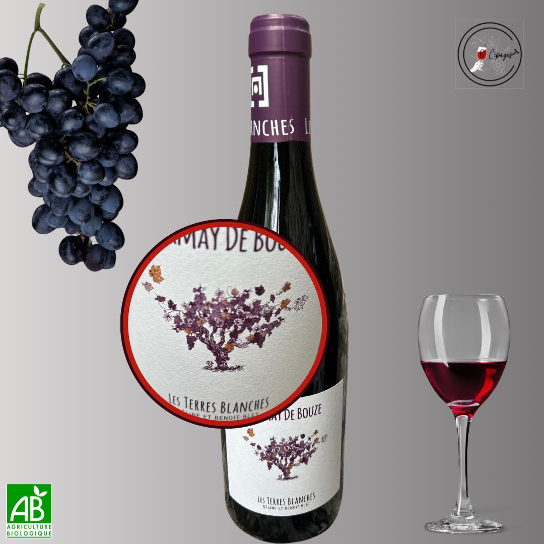 Dégustation vins sommelière a domicile vente de vins Poitiers