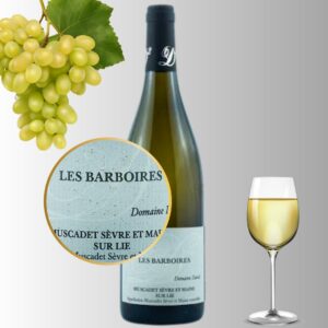 Dégustation vins sommelière a domicile vente de vins Poitiers