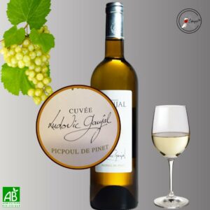 AOC PICPOUL DE PINET