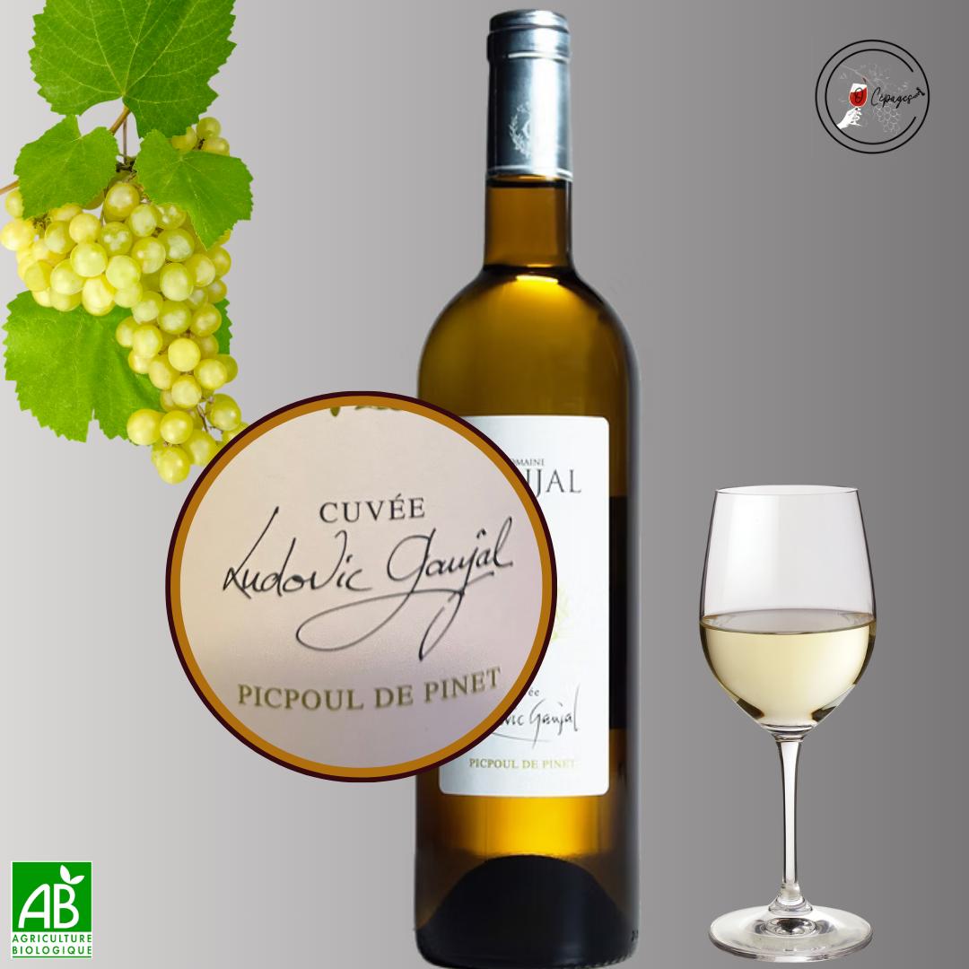 Dégustation vins sommelière a domicile vente de vins Poitiers