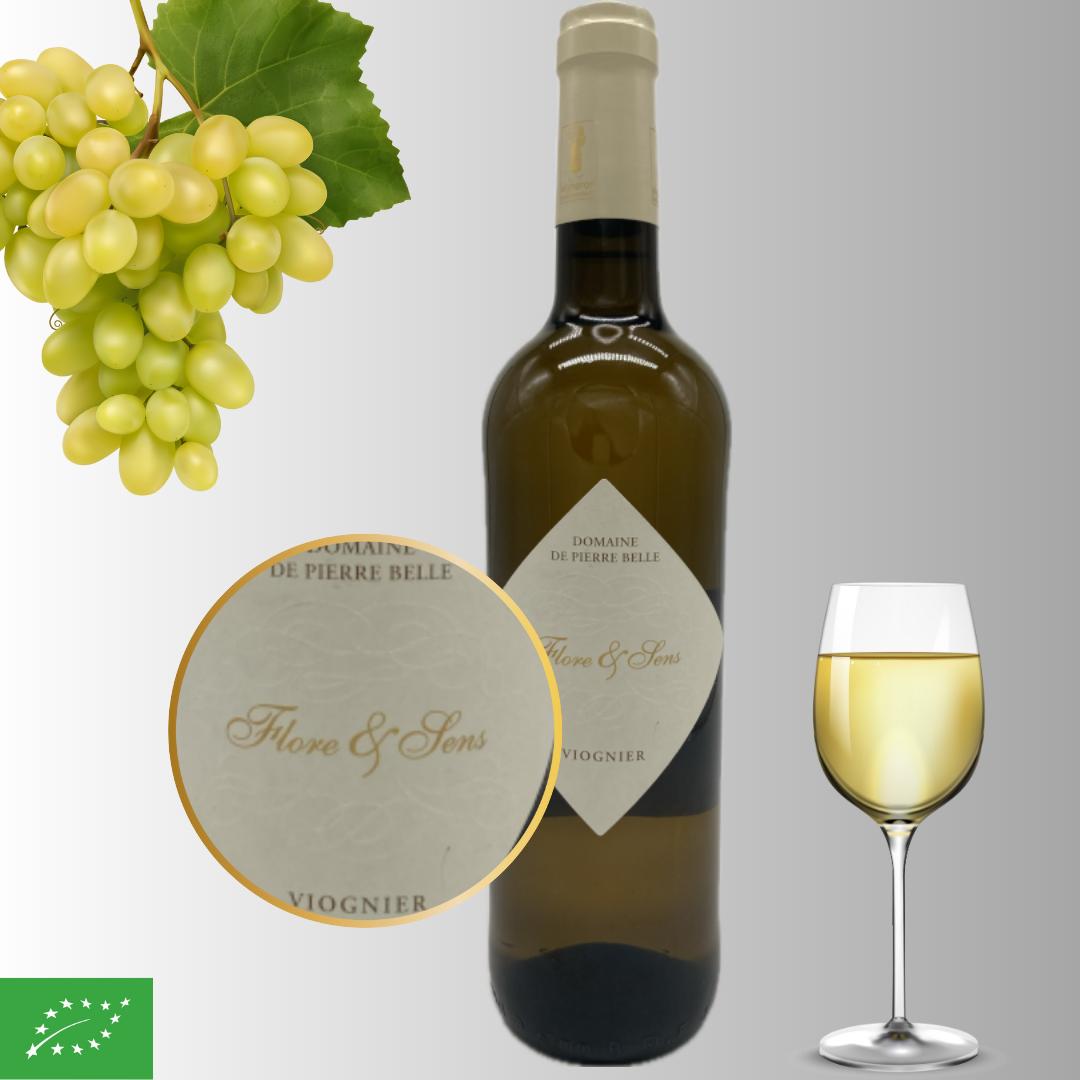 Dégustation vins sommelière a domicile vente de vins Poitiers