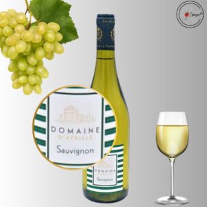 IGP VAL DE LOIRE Sauvignon