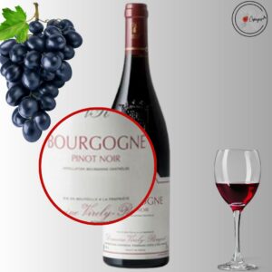 AOC BOURGOGNE Rouge