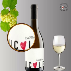 AOC Gaillac Nicole  50cl