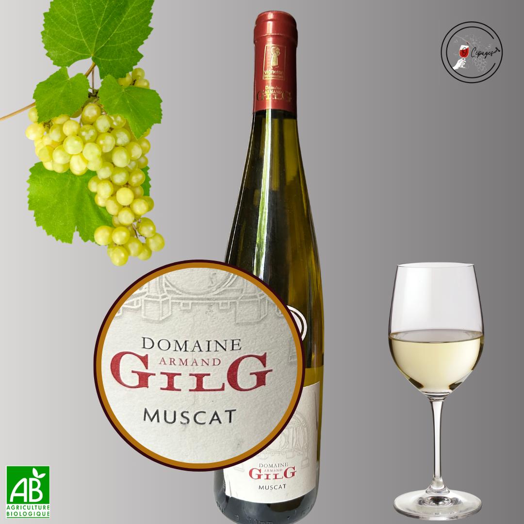 Dégustation vins sommelière a domicile vente de vins Poitiers