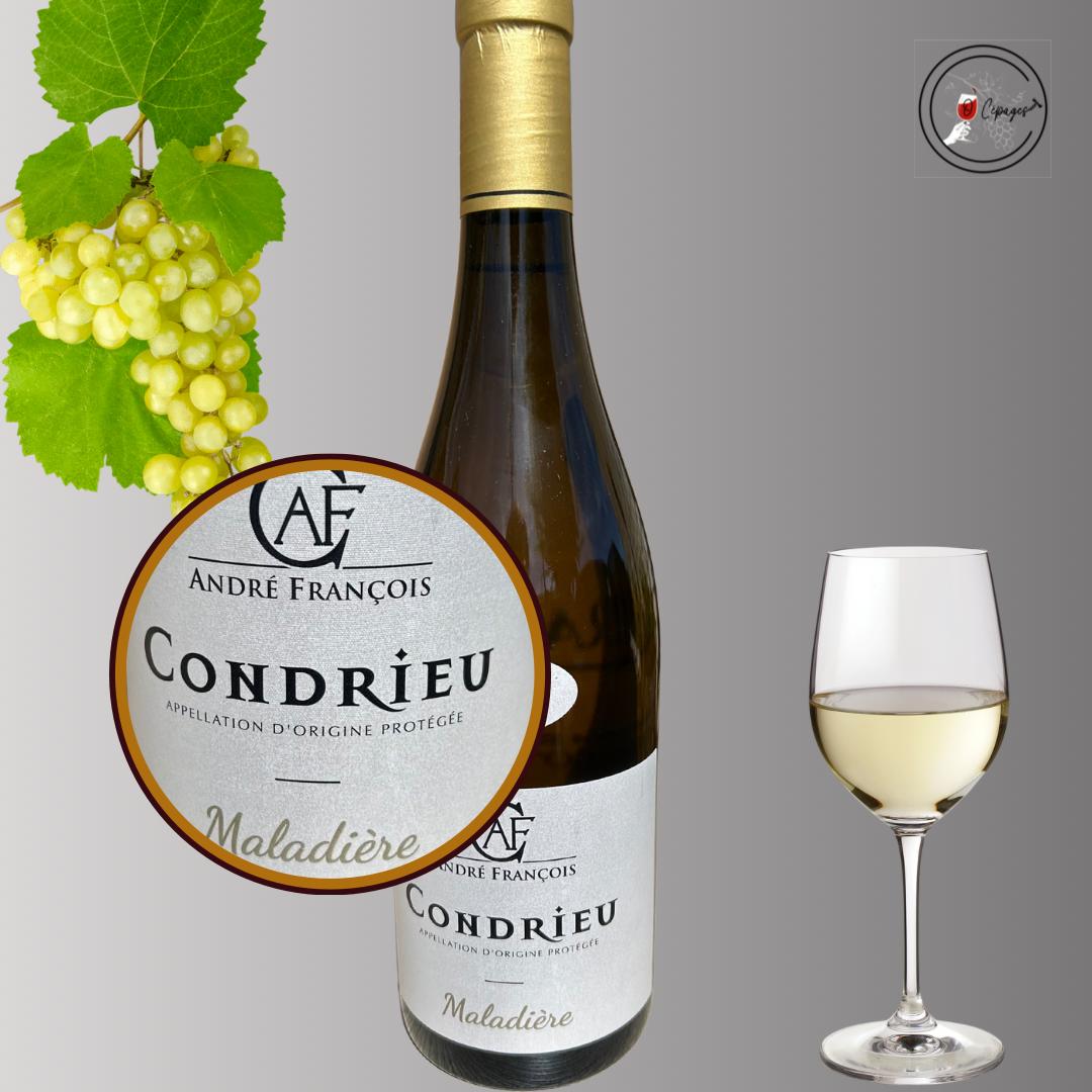 Dégustation vins sommelière a domicile vente de vins Poitiers