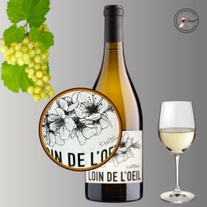 Dégustation vins sommelière a domicile vente de vins Poitiers Dégustation vins sommelière a domicile vente de vins Poitiers