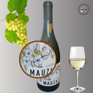 Dégustation vins sommelière a domicile vente de vins Poitiers Dégustation vins sommelière a domicile vente de vins Poitiers