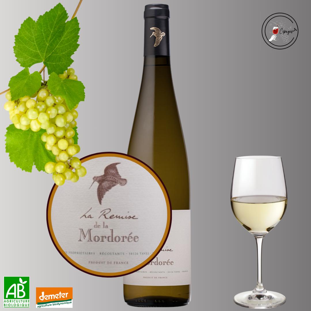 Dégustation vins sommelière a domicile vente de vins Poitiers