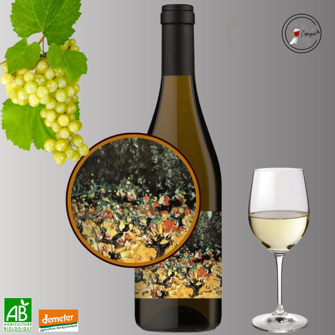 Dégustation vins sommelière a domicile vente de vins Poitiers