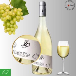 AOC VENTOUX PROMESSE 9 Blanc