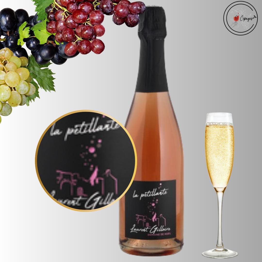 Dégustation vins sommelière a domicile vente de vins Poitiers