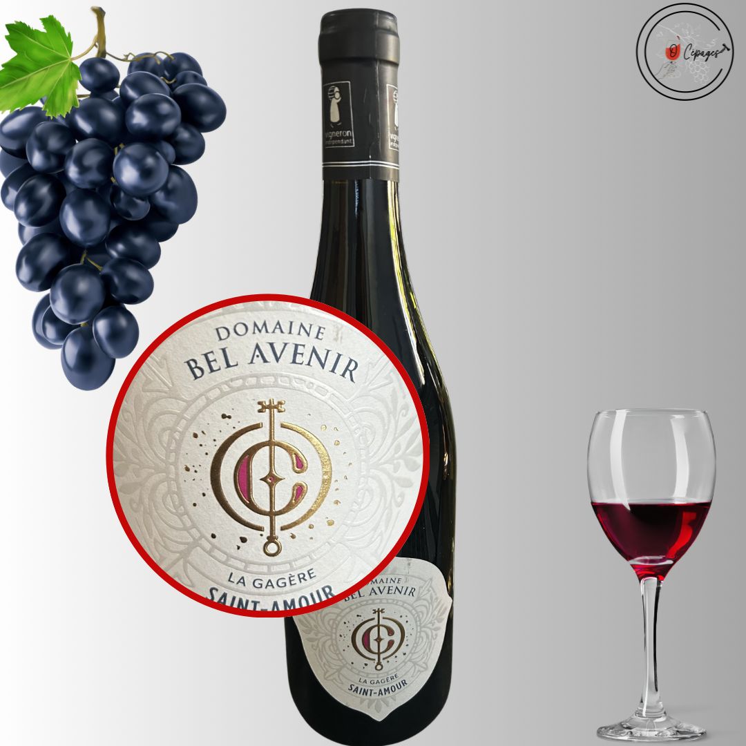 Dégustation vins sommelière a domicile vente de vins Poitiers